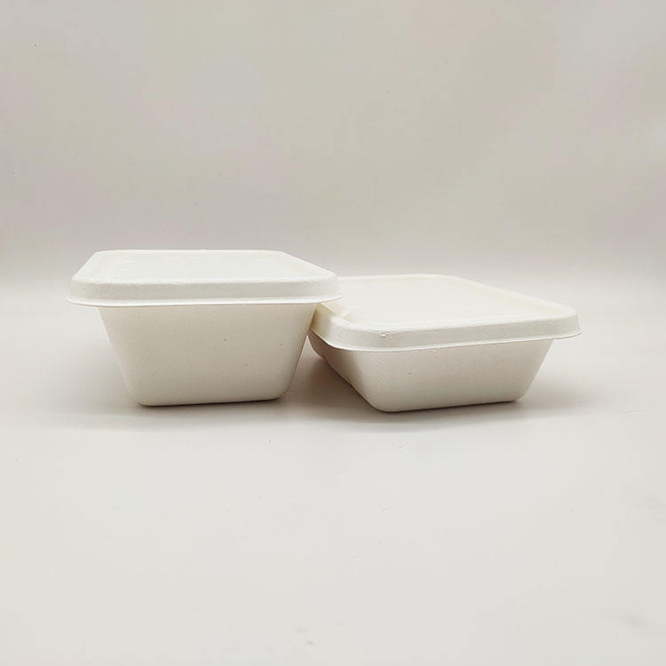 Lancheira de vendas diretas da fábrica Recipientes de papel descartáveis ​​para alimentos em concha de polpa de cana-de-açúcar