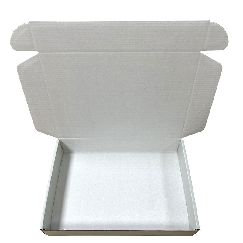 O logotipo personalizado da caixa de embalagem recicla a caixa de papel de empacotamento do avião