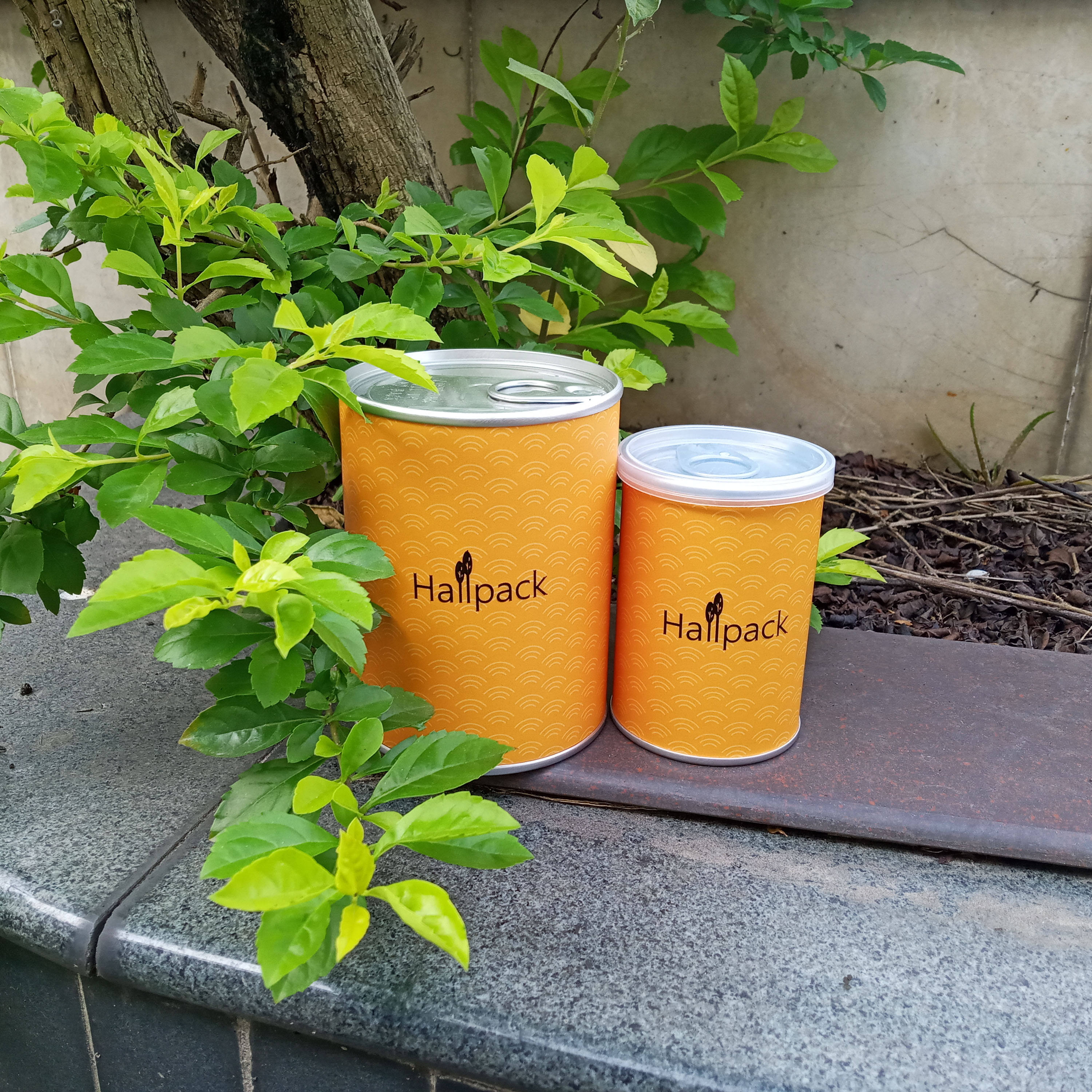 Atacado reciclado logotipo personalizado impressão cilindro de papelão caixa de tubo de papel de embalagem com tampa longa ferro chá café vela