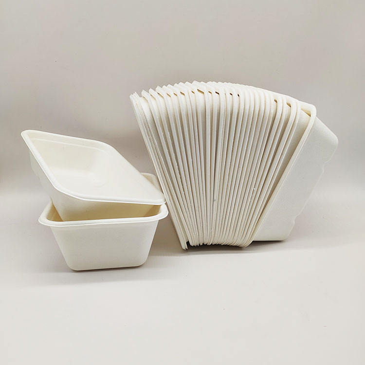 Lancheira de vendas diretas da fábrica Recipientes de papel descartáveis ​​para alimentos em concha de polpa de cana-de-açúcar