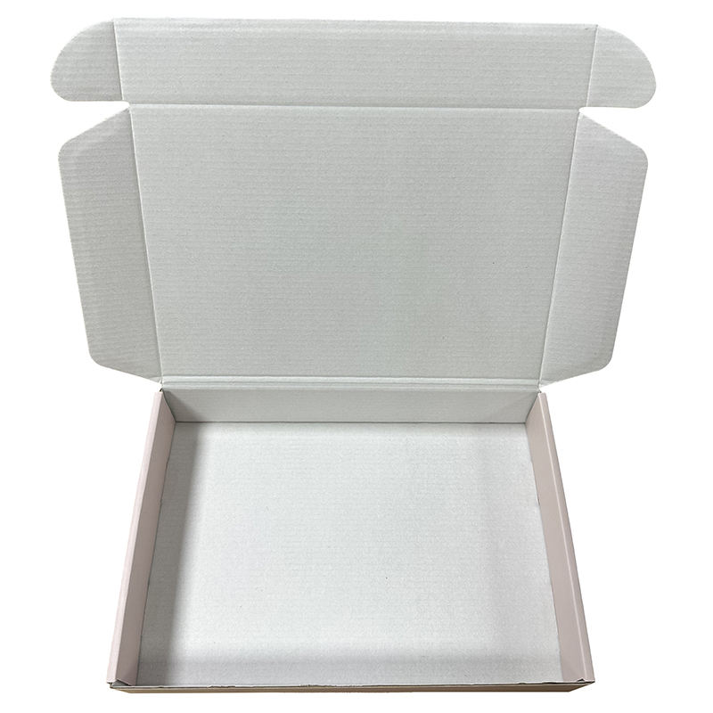 Caixa de papel nova profissional da forma do avião do projeto para o empacotamento da guarda-joias