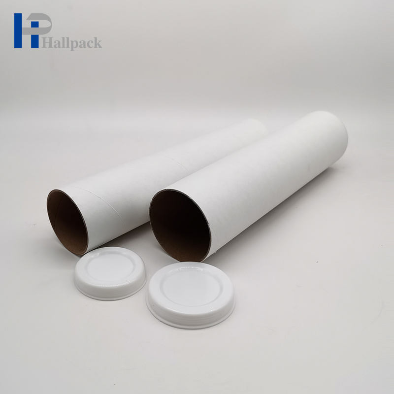 Fornecimento de fábrica cilindro biodegradável personalizado tubo de papel branco para correspondência
