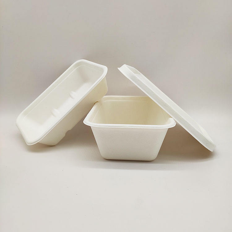 Lancheira de vendas diretas da fábrica Recipientes de papel descartáveis ​​para alimentos em concha de polpa de cana-de-açúcar