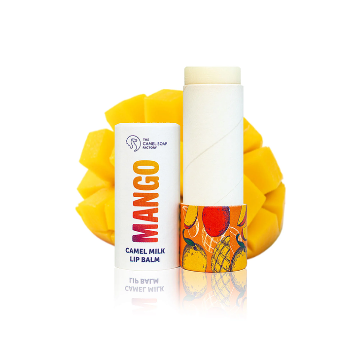 Cilindro de papel ecológico feito à mão, tubo biodegradável, embalagem, tubo de papel push up para bálsamo labial, desodorante e cosmético