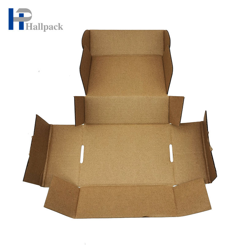 Caixa de presente dobrável luxuosa biodegradável feita sob encomenda para a caixa de envio pelo correio do avião