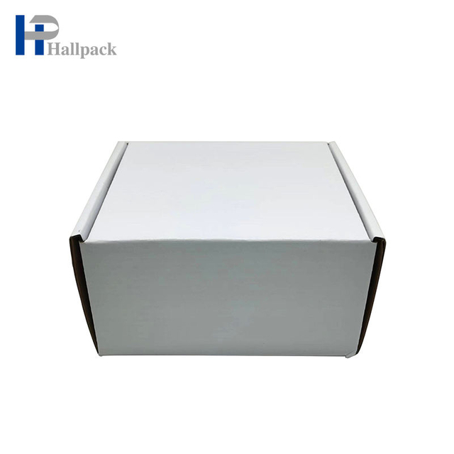 Caixa de presente dobrável luxuosa biodegradável feita sob encomenda para a caixa de envio pelo correio do avião