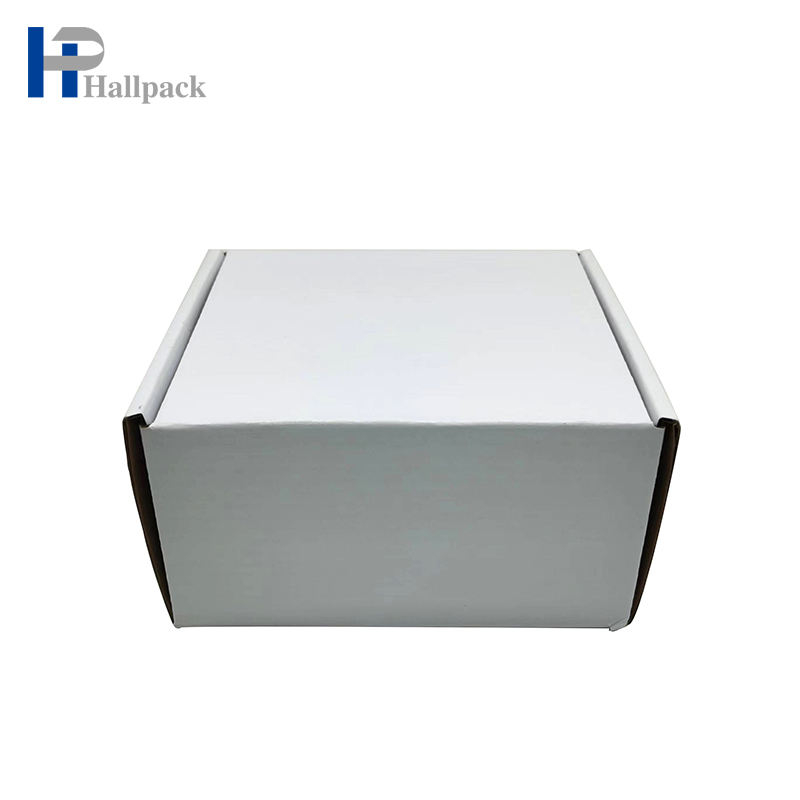 Caixa de presente dobrável luxuosa biodegradável feita sob encomenda para a caixa de envio pelo correio do avião