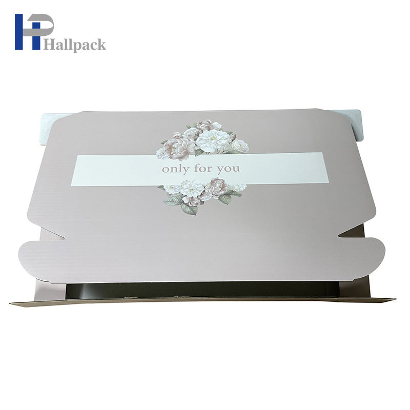 Caixa de papel nova profissional da forma do avião do projeto para o empacotamento da guarda-joias