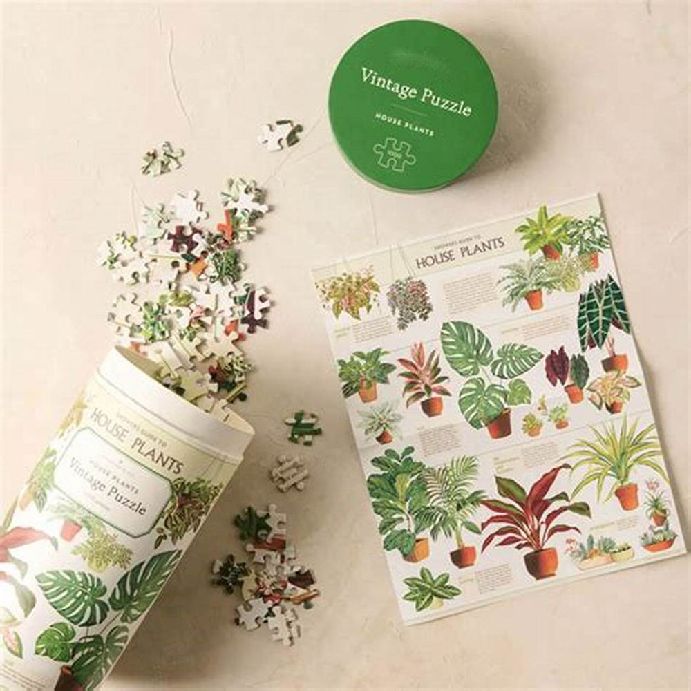 Tubo de papel de empacotamento feito sob encomenda amigável do papel da caixa do cilindro do presente & do ofício de Eco que empacota para crianças