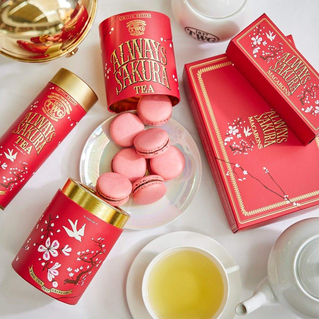 Embalagem de cilindro de chá biodegradável de qualidade alimentar Embalagem de tubo de papel personalizado de alta qualidade Embalagem de tubo de papelão para chá e café