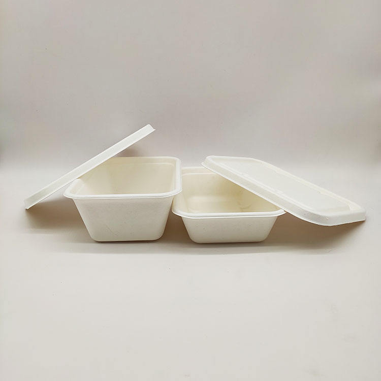 Lancheira de vendas diretas da fábrica Recipientes de papel descartáveis ​​para alimentos em concha de polpa de cana-de-açúcar