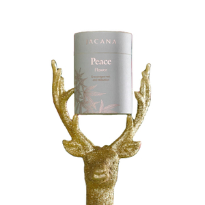 Design especial tubo redondo de vendas quentes tubo de papel de embalagem de folha quente