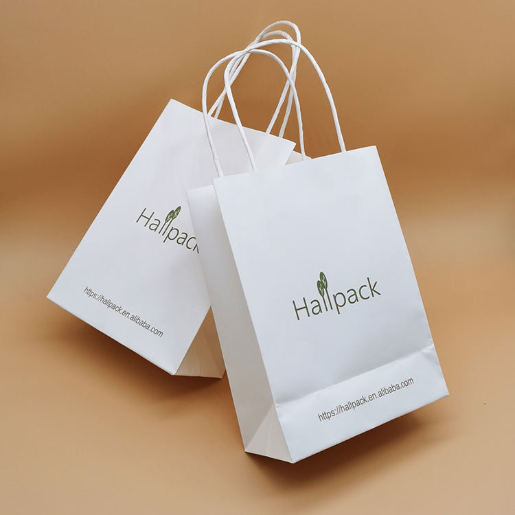Pacote de tamanho personalizado Alça de papel Saco de papel Saco de compras de papel Kraft