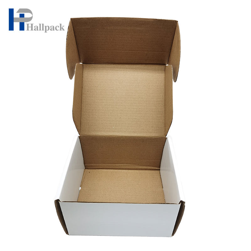 Caixa de papelão ondulada de correio feita sob encomenda amigável de Eco que empacota para o presente de aniversário do feriado