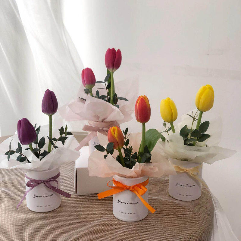 Pequeno conjunto preservado camurça rosa caixas de embalagem papelão para flor personalizado eco rígido forma redonda mini papel flor presente cilindro