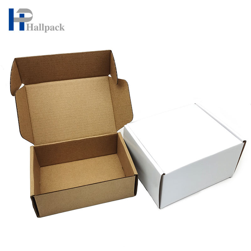 Caixa de presente dobrável luxuosa biodegradável feita sob encomenda para a caixa de envio pelo correio do avião