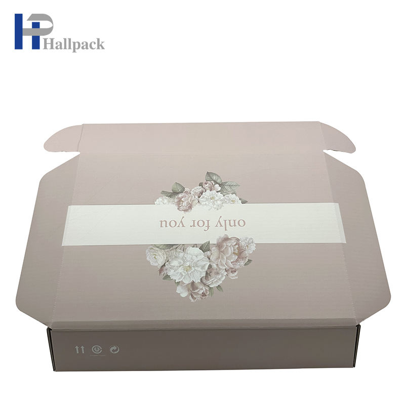 Caixa de papel nova profissional da forma do avião do projeto para o empacotamento da guarda-joias