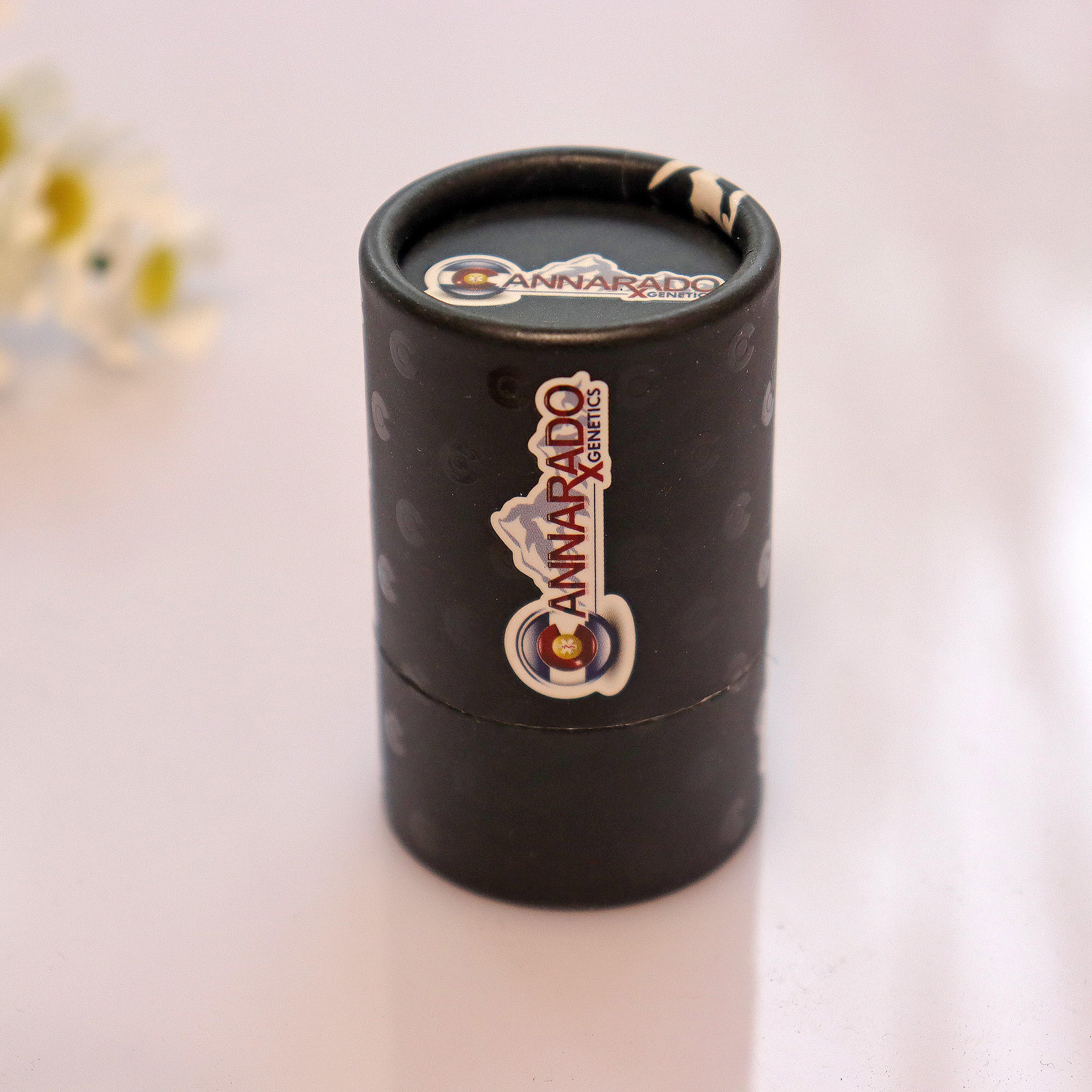 Recipientes de base de cilindro de papel personalizados com uso de garrafa de óleo EVA com embalagem de tubo de papel de espuma