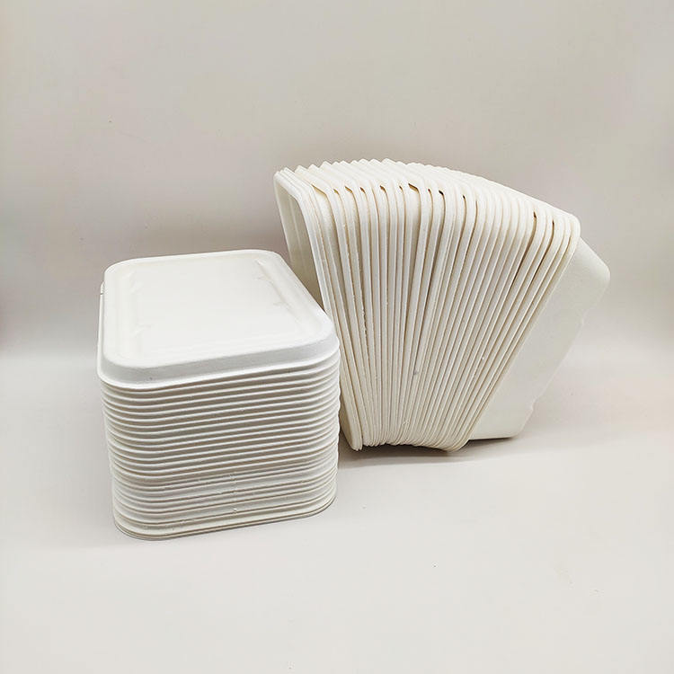 Lancheira de vendas diretas da fábrica Recipientes de papel descartáveis ​​para alimentos em concha de polpa de cana-de-açúcar