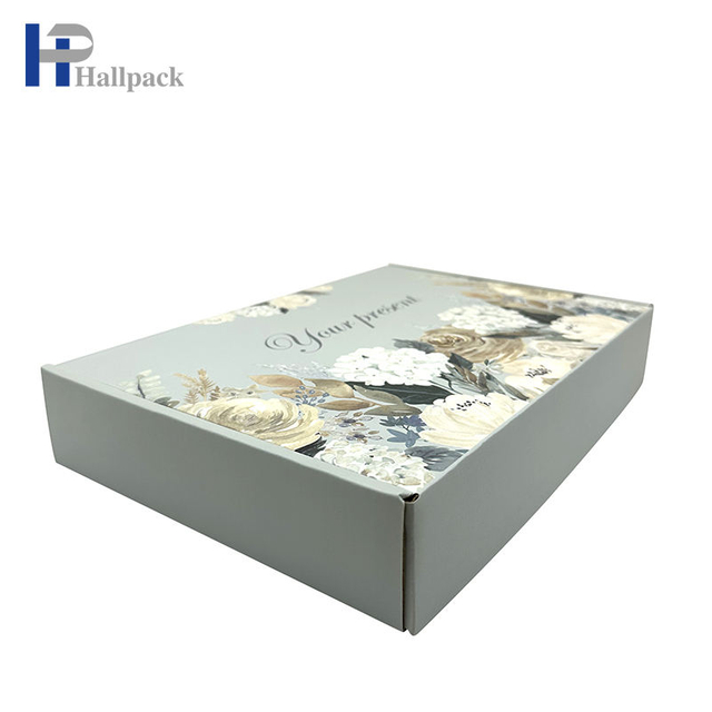 O logotipo personalizado da caixa de embalagem recicla a caixa de papel de empacotamento do avião