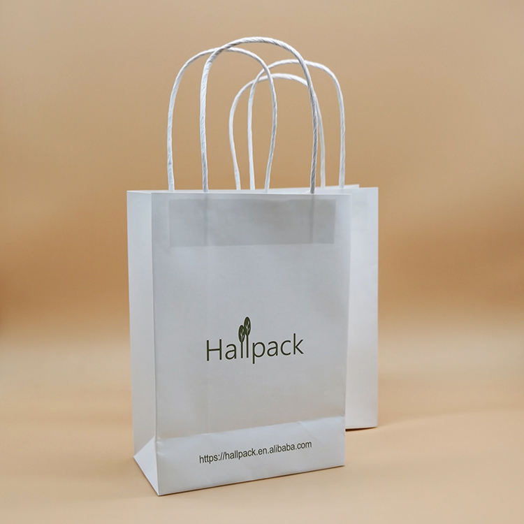 Pacote de tamanho personalizado Alça de papel Saco de papel Saco de compras de papel Kraft