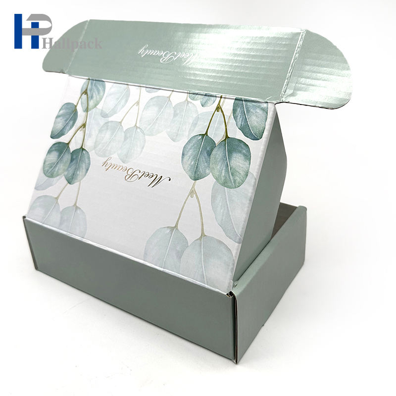 Caixa de papelão ondulada de correio feita sob encomenda amigável de Eco que empacota para o presente de aniversário do feriado