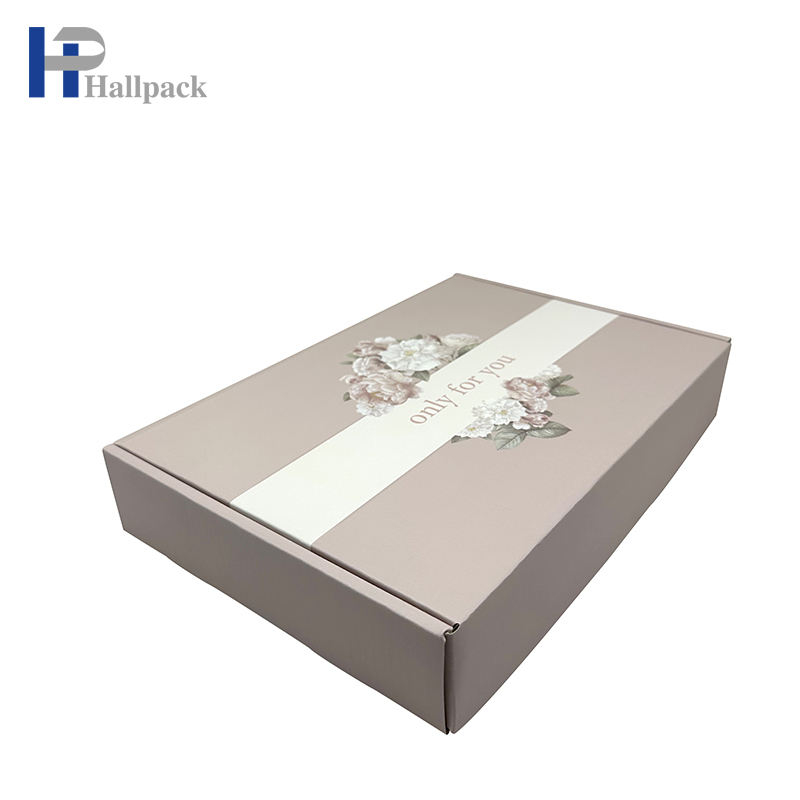 Caixa de papel nova profissional da forma do avião do projeto para o empacotamento da guarda-joias