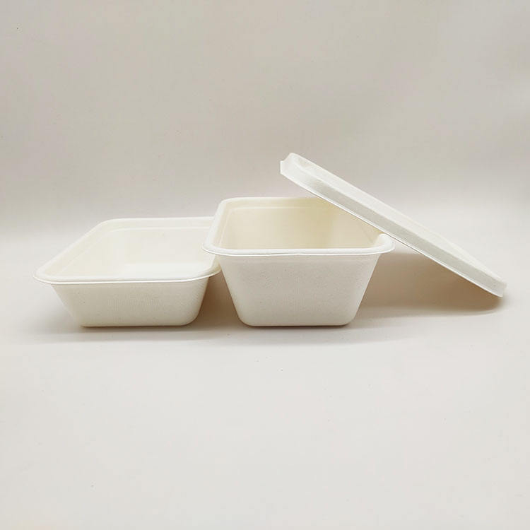 Lancheira de vendas diretas da fábrica Recipientes de papel descartáveis ​​para alimentos em concha de polpa de cana-de-açúcar